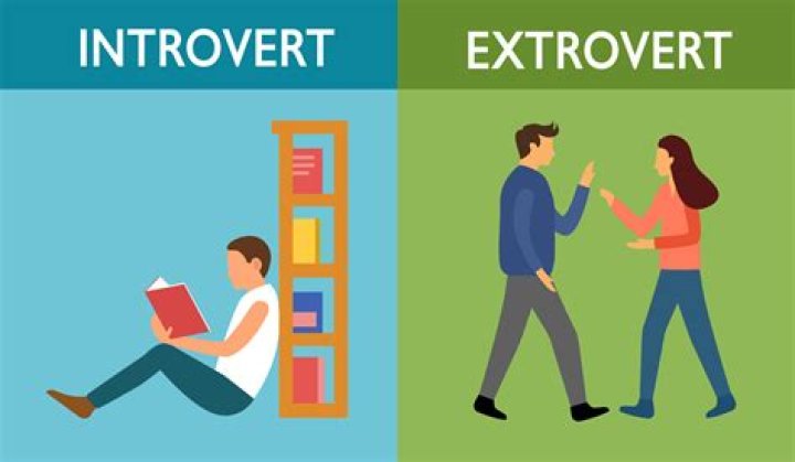 Are all accountants introverts?