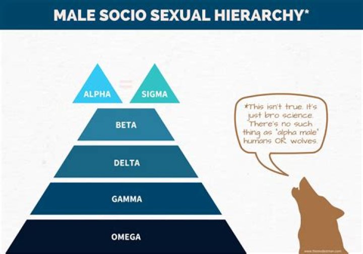 Are all males related?
