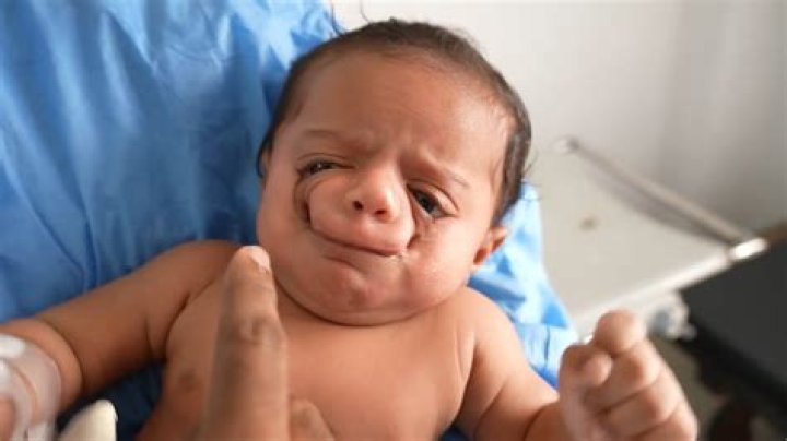 Are babies born blind?