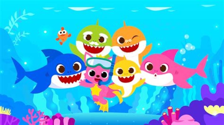 Are baby shark real?