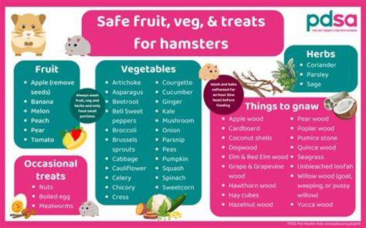 Are balls safe for hamsters?