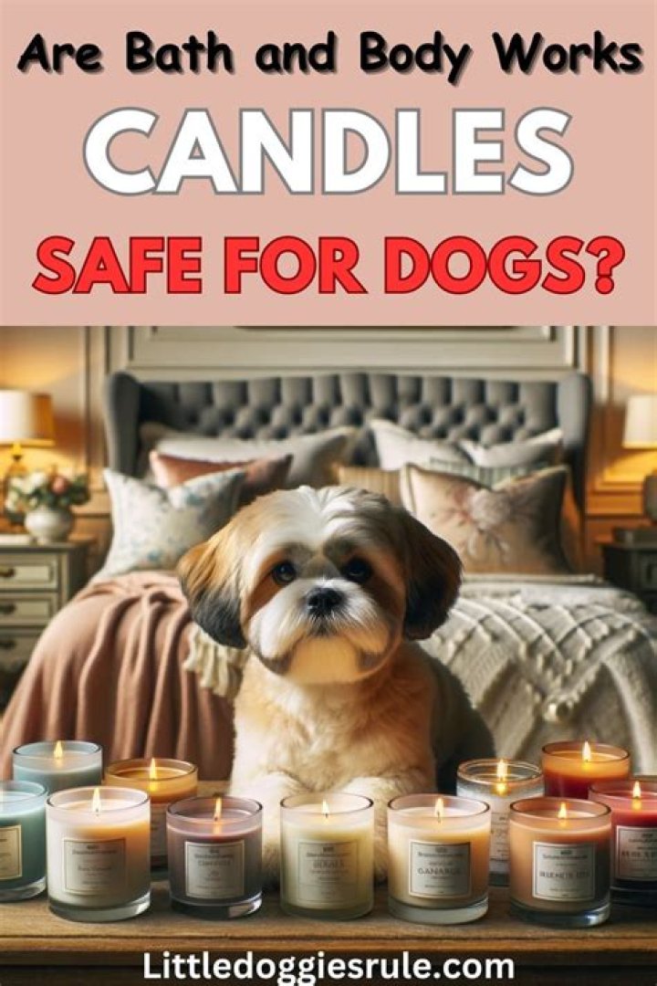Are Bath and Body Works candles safe for dogs?
