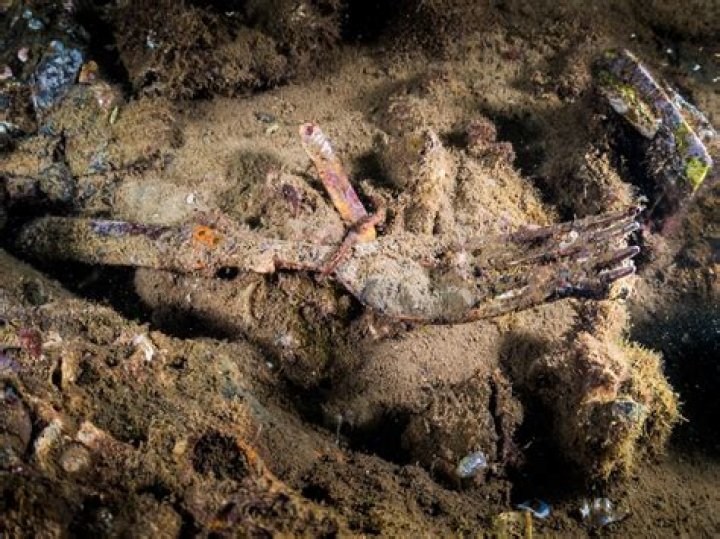 Are bodies from ww2 still being found?