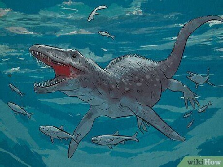 Are dinosaurs still alive in the ocean?