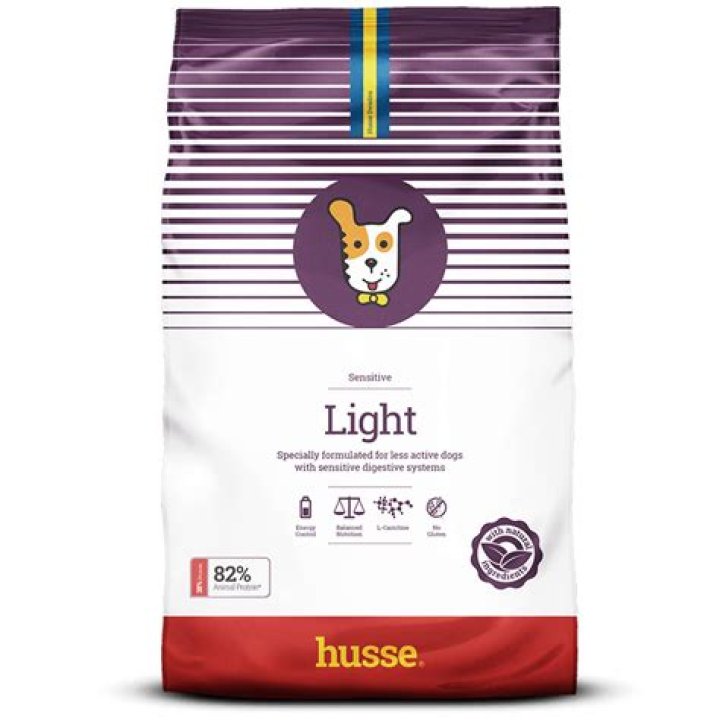 Are dogs sensitive to light?