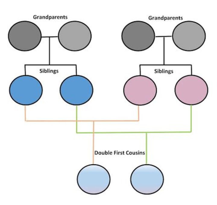 Are double cousins inbred?