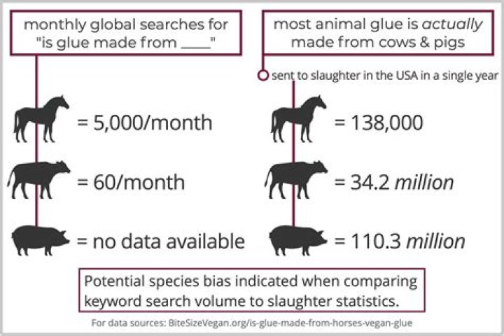 Are horses really turned into glue?