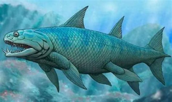 Are humans technically fish?