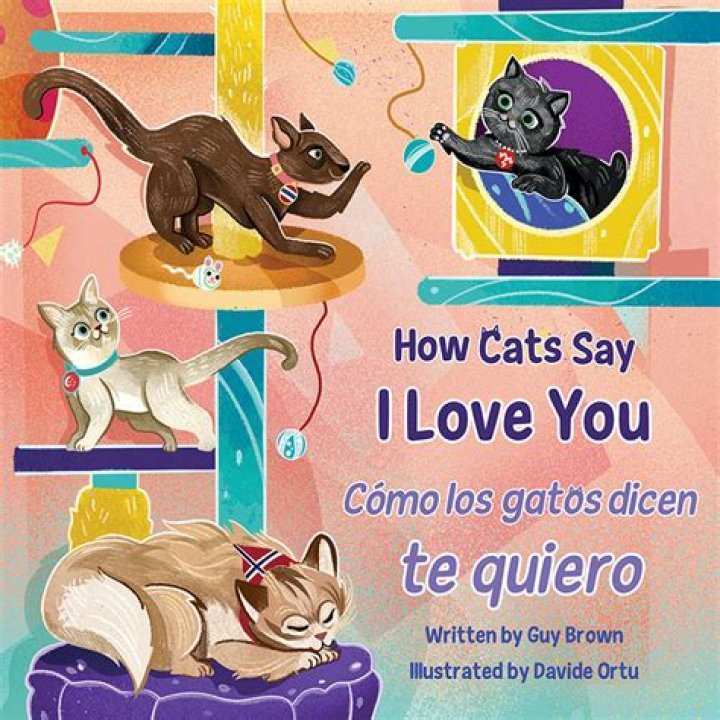 Are MIQO TE cats?