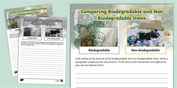Are newspapers non biodegradable?