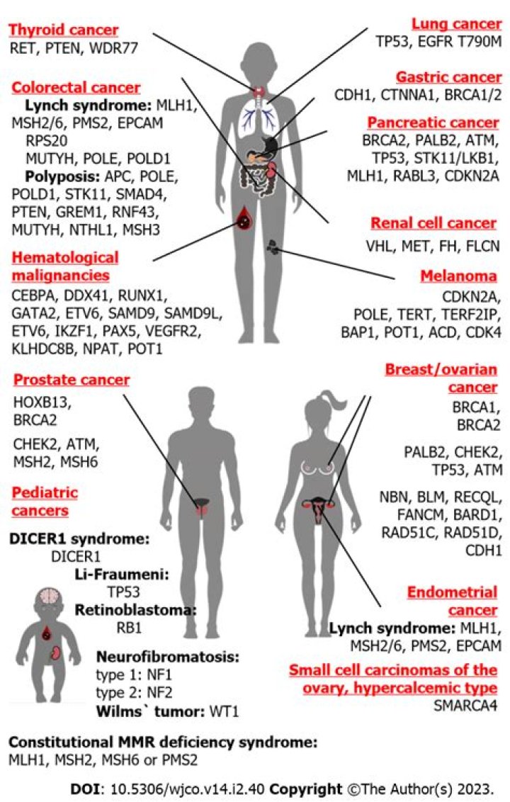 Are skin cancers hereditary?
