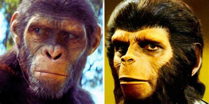 Are the Saiyans apes?