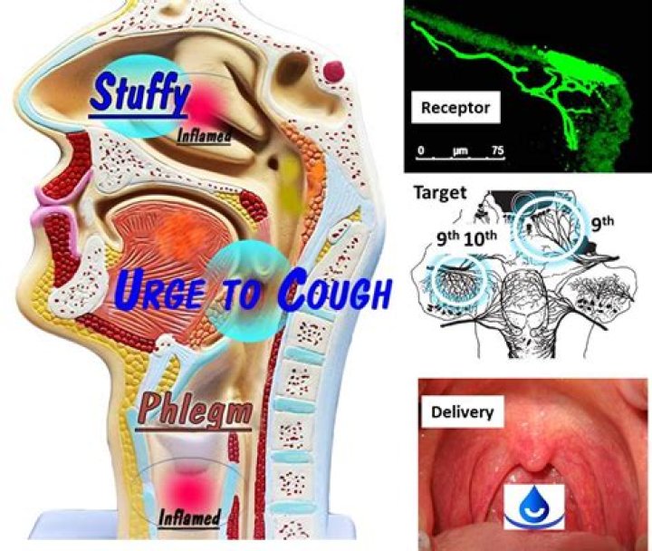 Can't clear phlegm in throat?