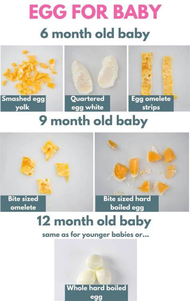 Can 6 month old baby eat egg?