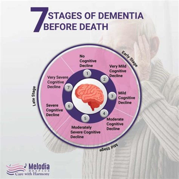 Can a brain scan tell if you have dementia?
