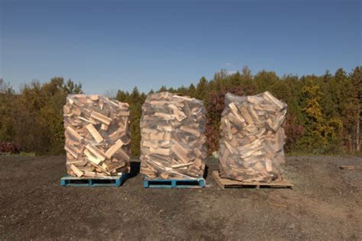 Can a dead tree be used for firewood?