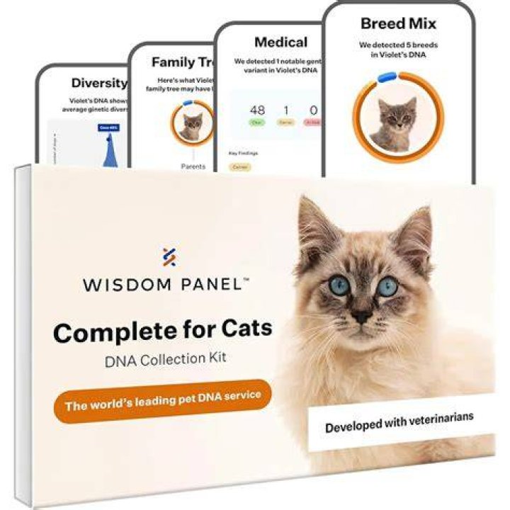 Can a dog have cat DNA?