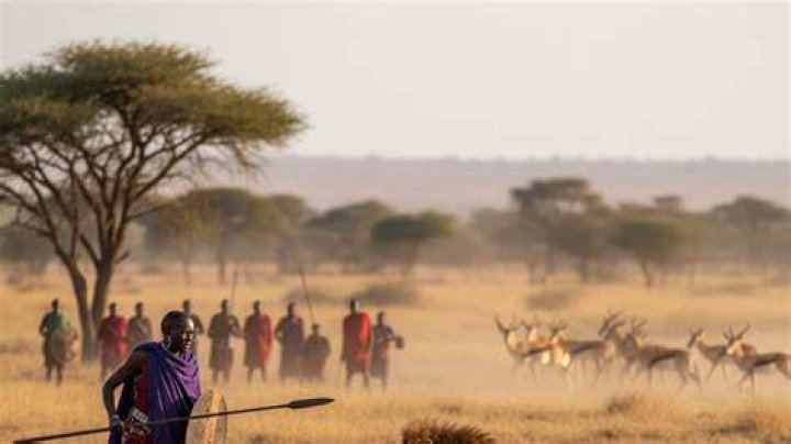 Can a human fight a lion?