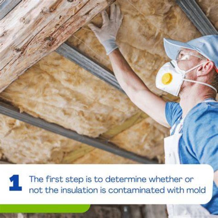 Can attic insulation mold?