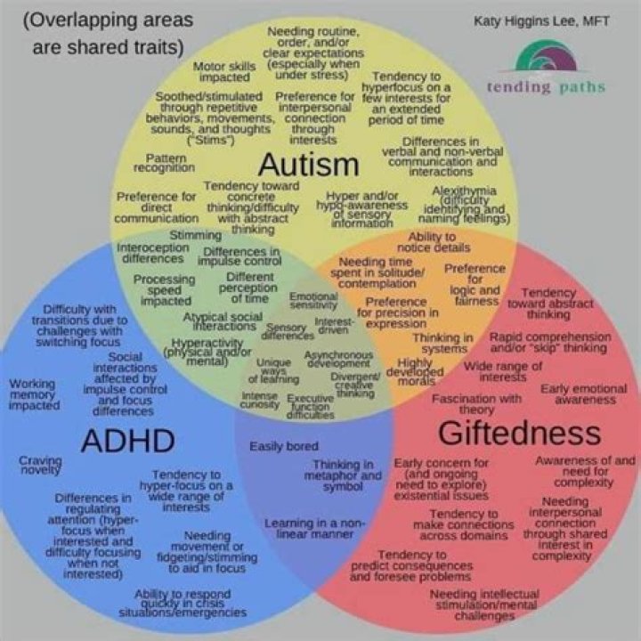 Can autism be masked by ADHD?