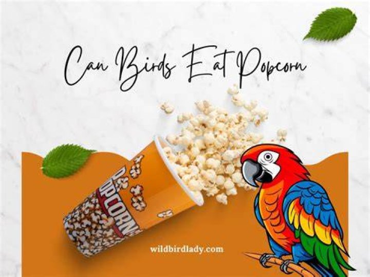 Can birds eat popcorn?