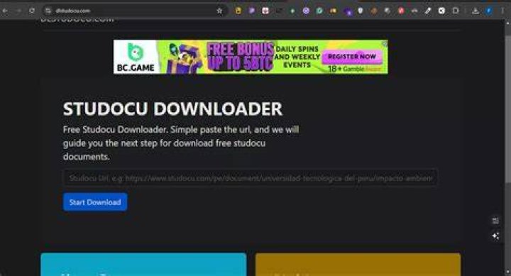 Can Chegg track your IP?