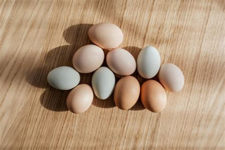 Can chickens eat blueberries whole?