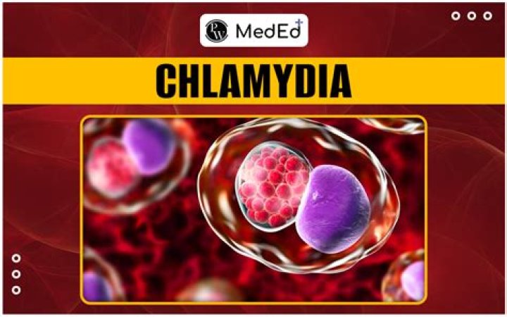 Can chlamydia be dormant for a year?