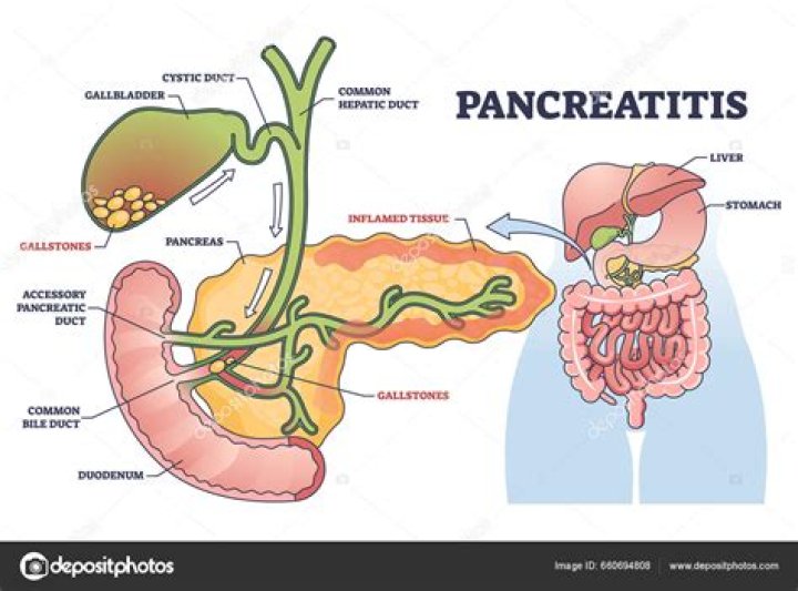 Can dehydration affect pancreas?