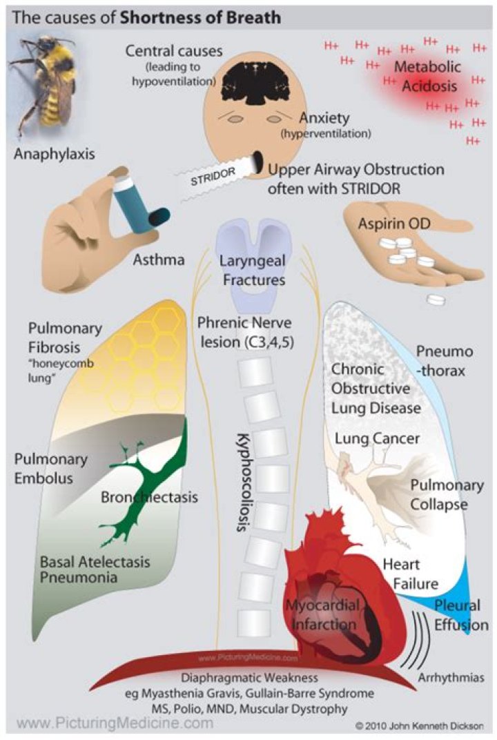 Can dehydration cause shortness of breath?