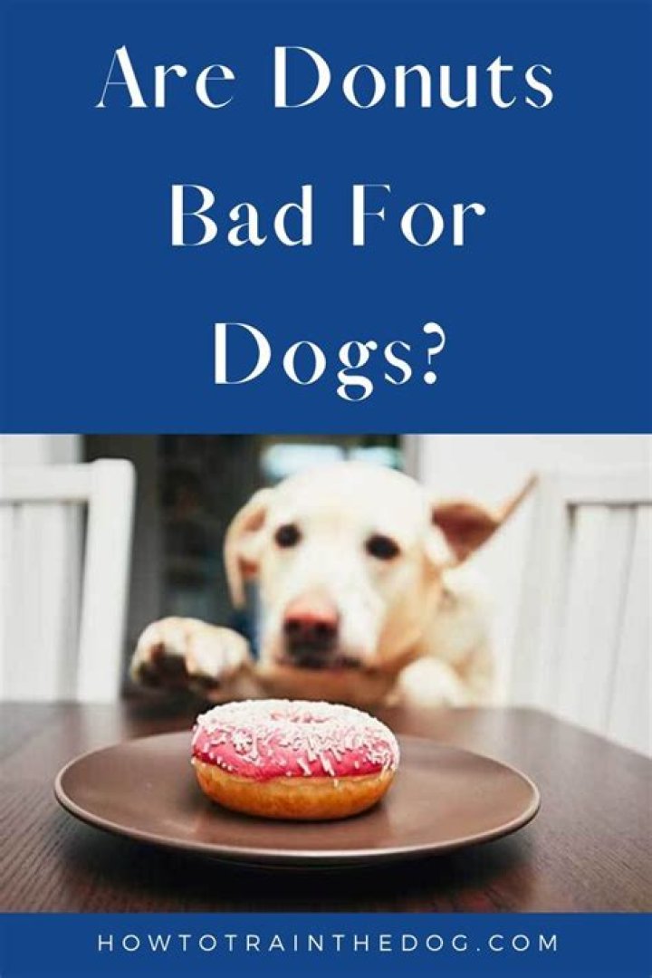 Can dogs have donuts?