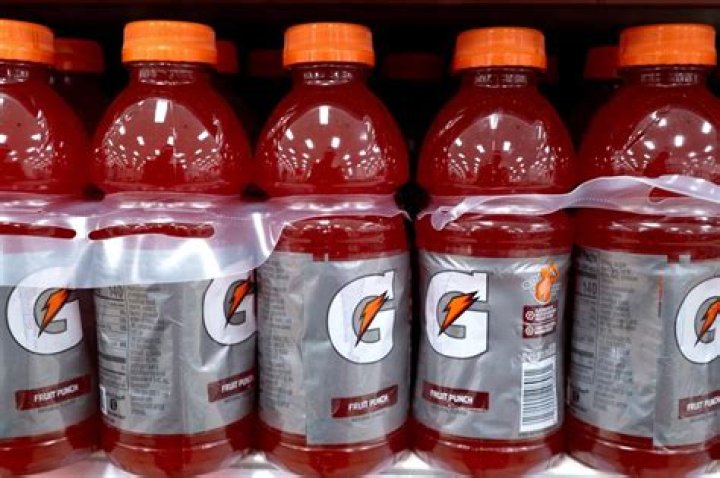 Can dogs have Gatorade?