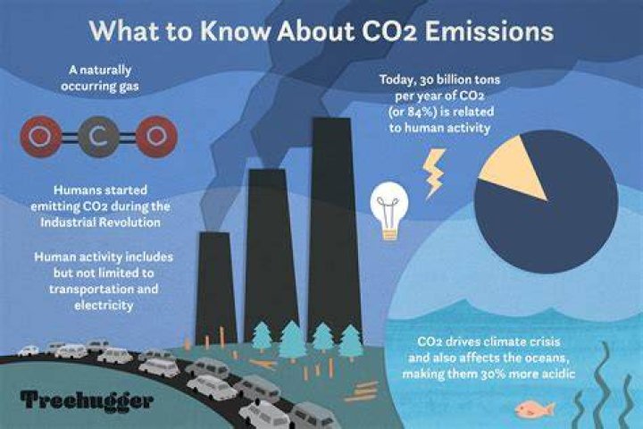 Can high CO2 levels cause brain damage?