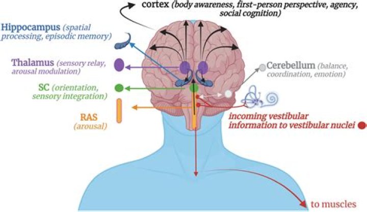 Can HOCD cause arousal?