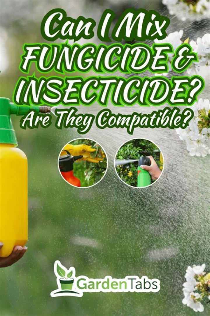 Can I apply fungicide and insecticide at the same time?