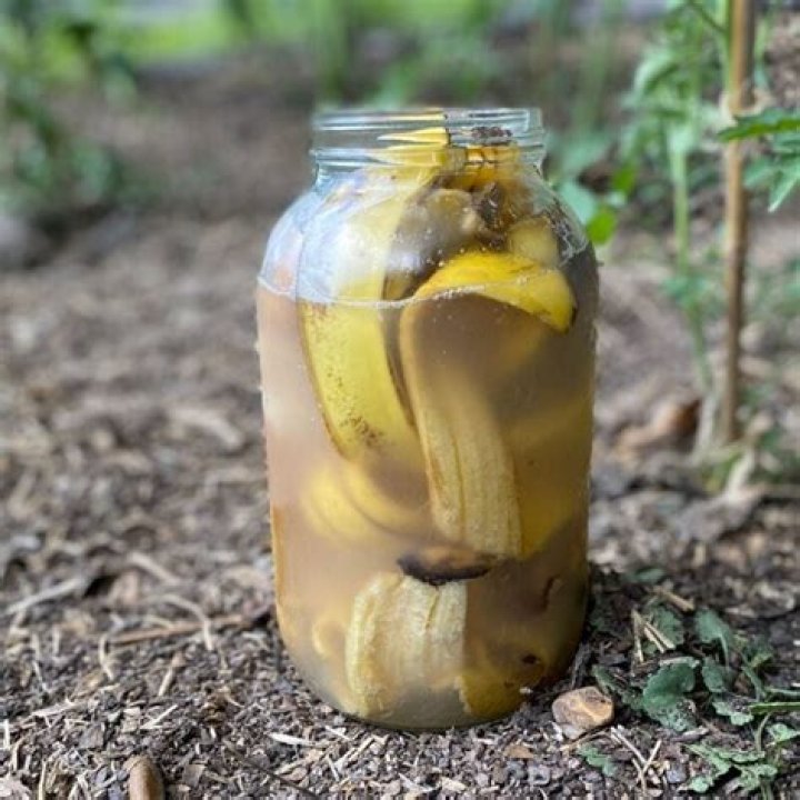 Can I boil banana peels and drink?