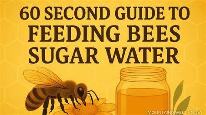 Can I feed my bees dry sugar?