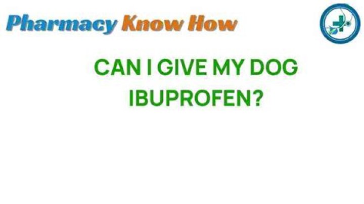 Can I give my dog ibuprofen for a limp?