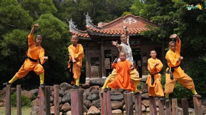 Can I go to China to learn kung fu?