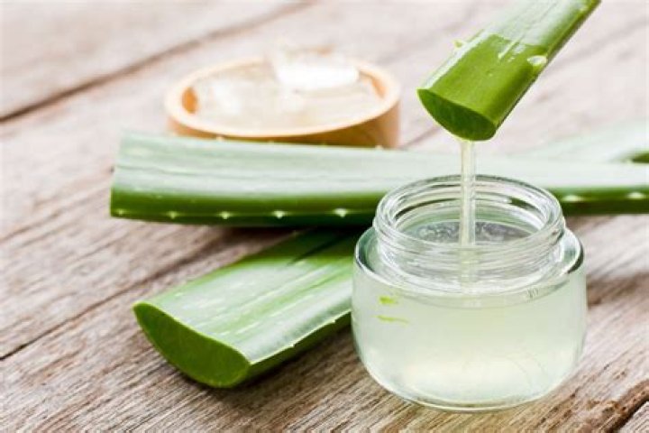 Can I mix milk with aloe vera?
