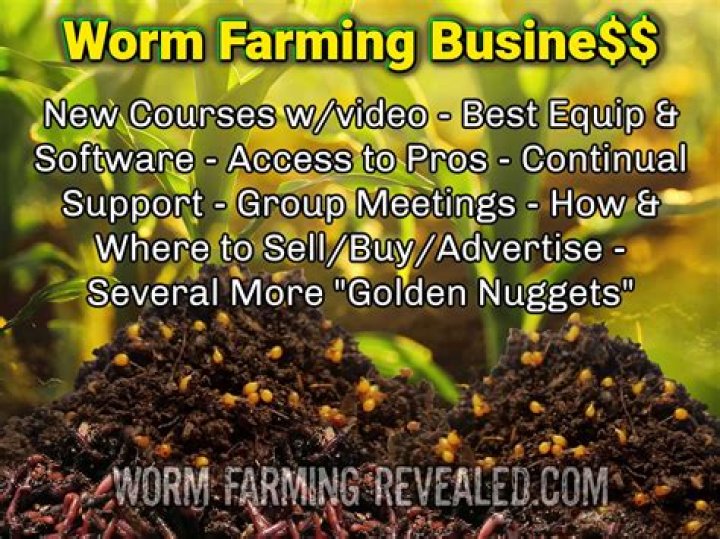 Can I put cheese in my worm farm?