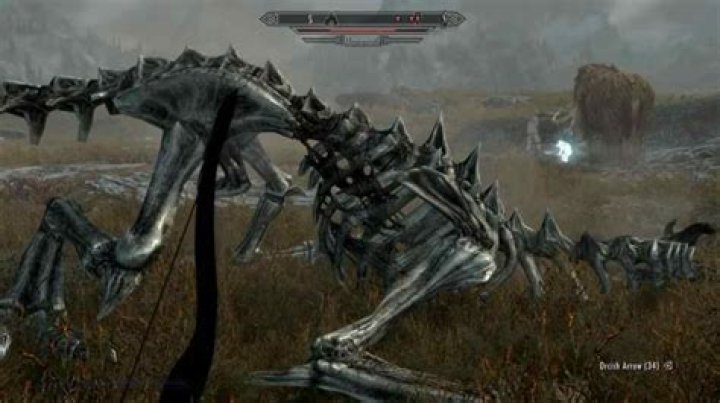 Can I sell dragon bones in Skyrim?
