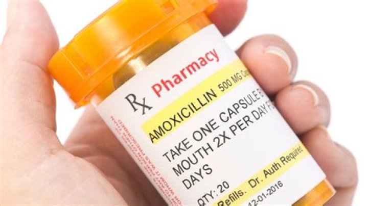 Can I take amoxicillin 3 times a day?