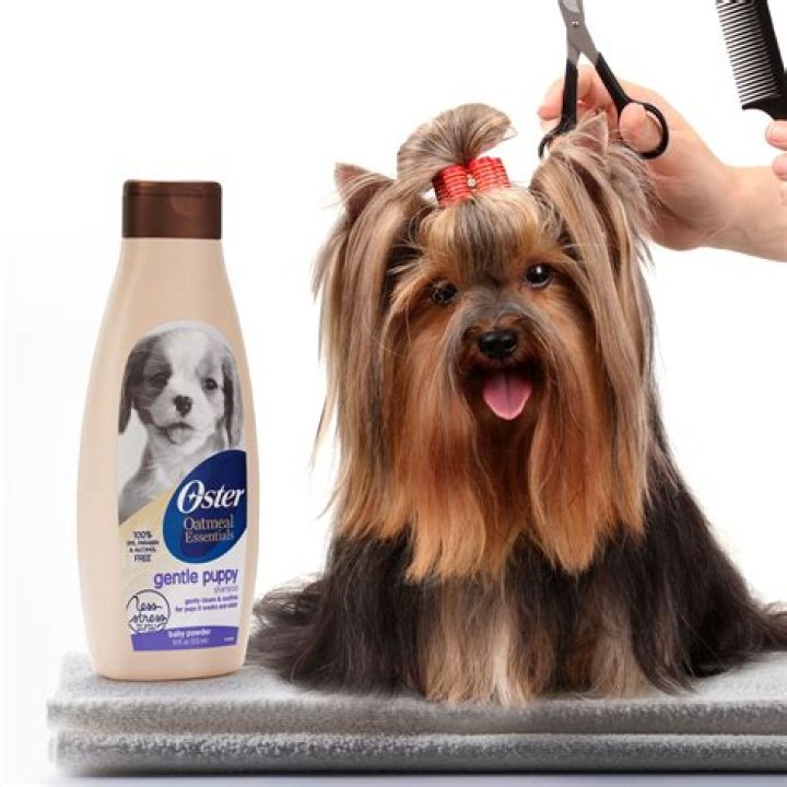 Can I use baby shampoo on a dog?