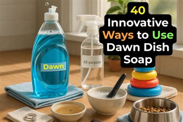 Can I use Dawn dish soap to wash my rat?