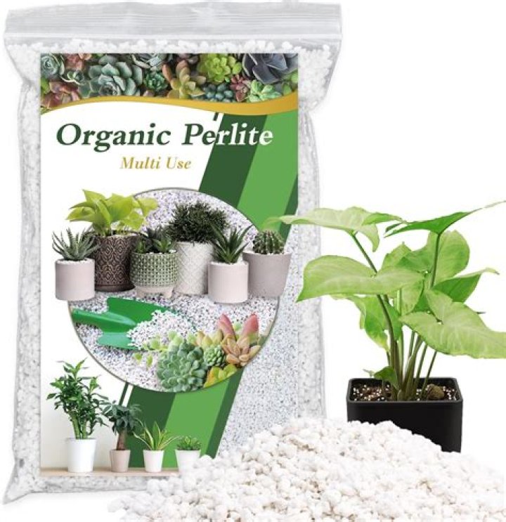 Can I use gravel instead of perlite?