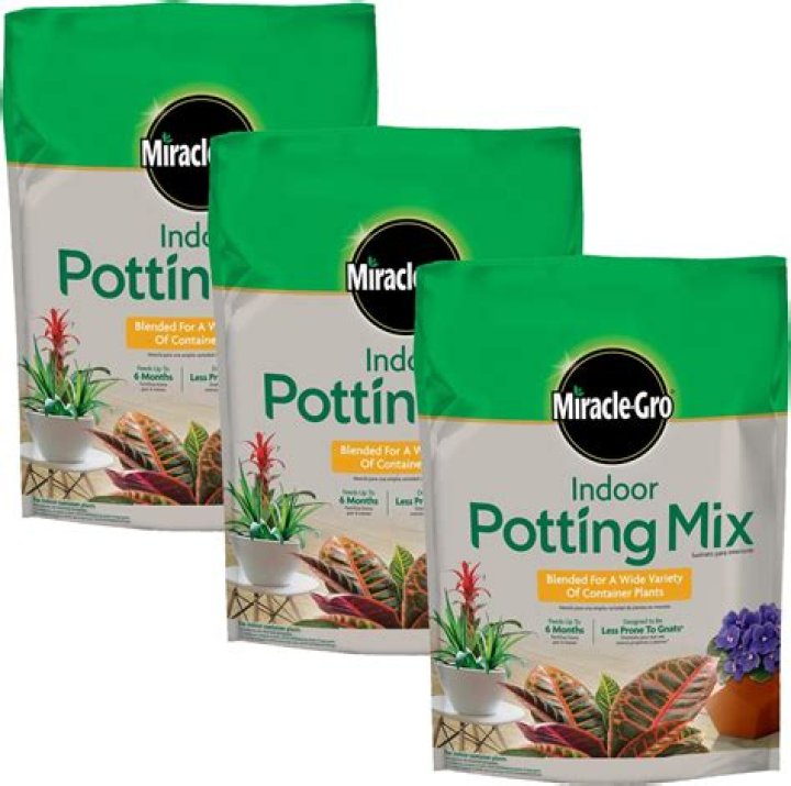 Can I use Miracle Grow on succulents?