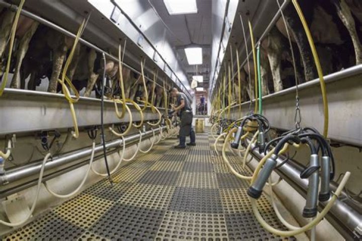 Can laying down stall labor?