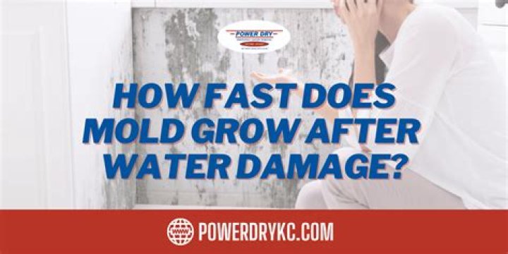 Can mold grow in water filters?