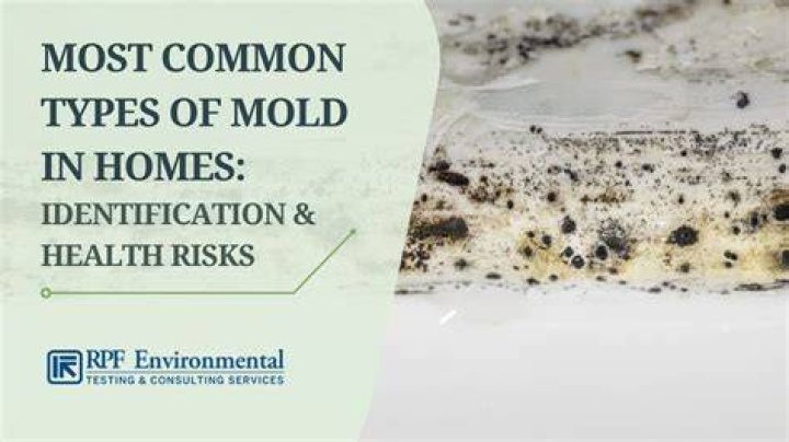 Can mold grow your hair?